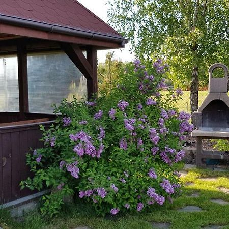 Willa Dom W Skowronkach Sasino Zewnętrze zdjęcie