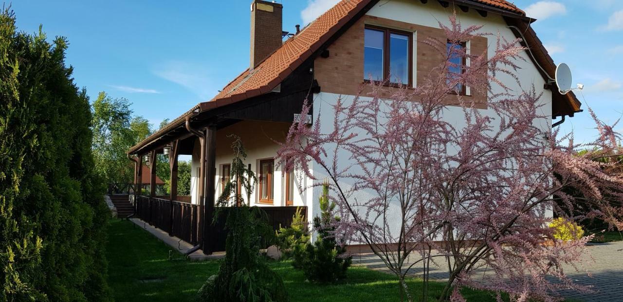 Willa Dom W Skowronkach Sasino Zewnętrze zdjęcie